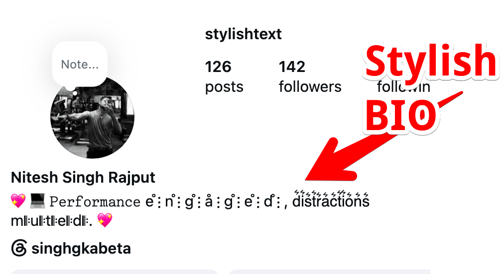 Stylist Text Instagaram bio