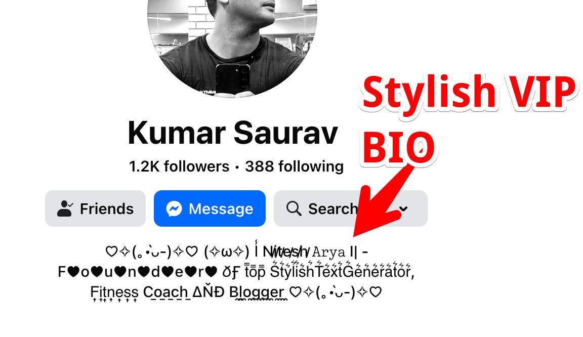 Facebook Stylish Text VIP & Cool Bios Example